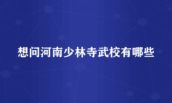 想问河南少林寺武校有哪些